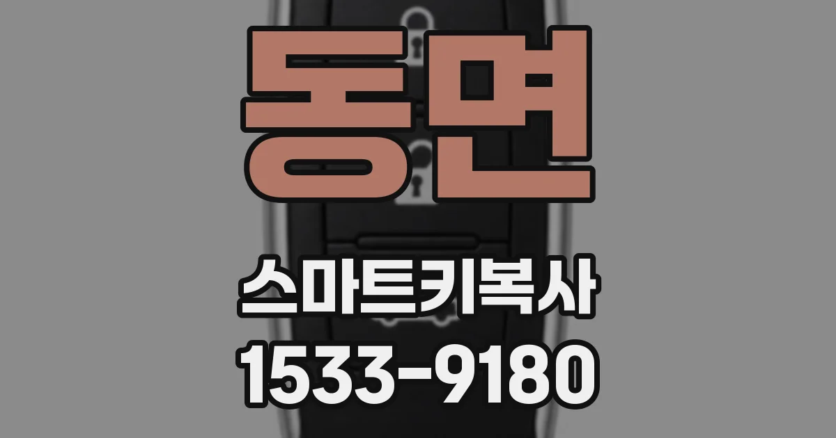 동면 스마트키복사