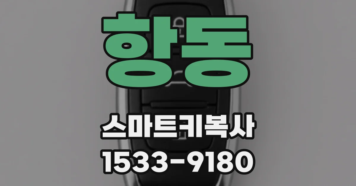 항동 스마트키복사
