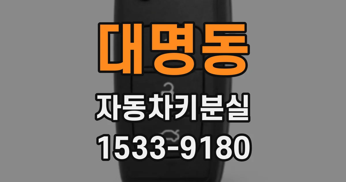 대명동 자동차키분실