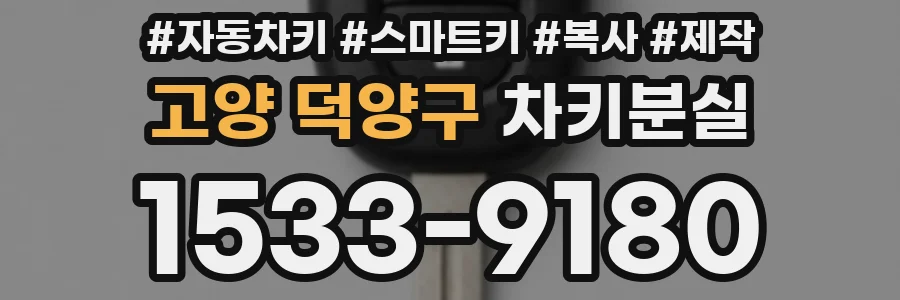 고양 덕양구 차키분실