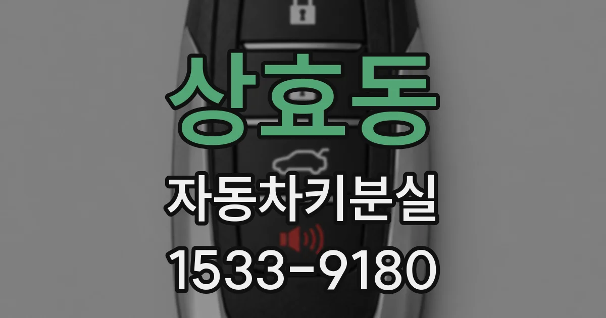 상효동 자동차키분실