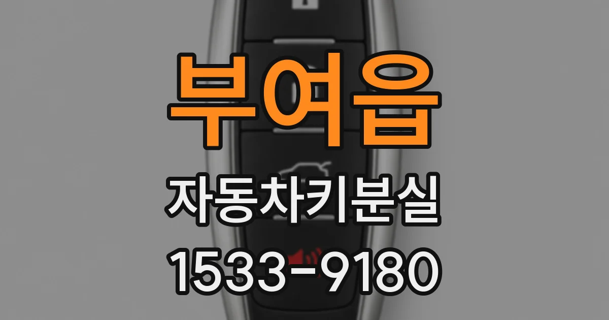 부여읍 자동차키분실