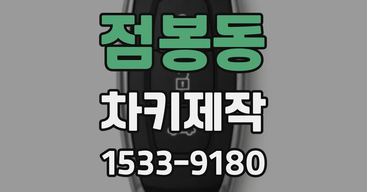 점봉동 차키제작