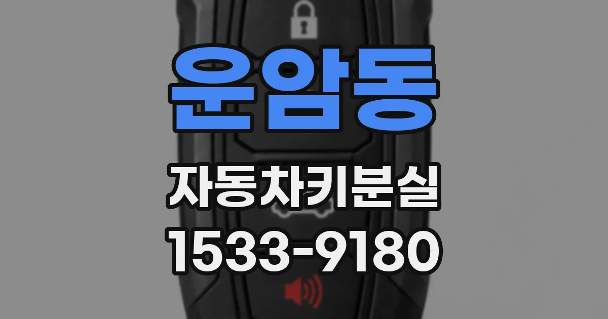 운암동 자동차키분실