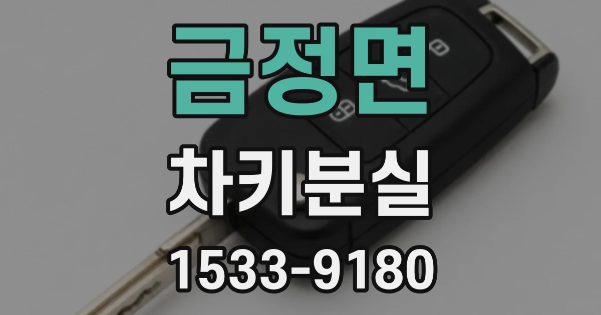 금정면 차키분실