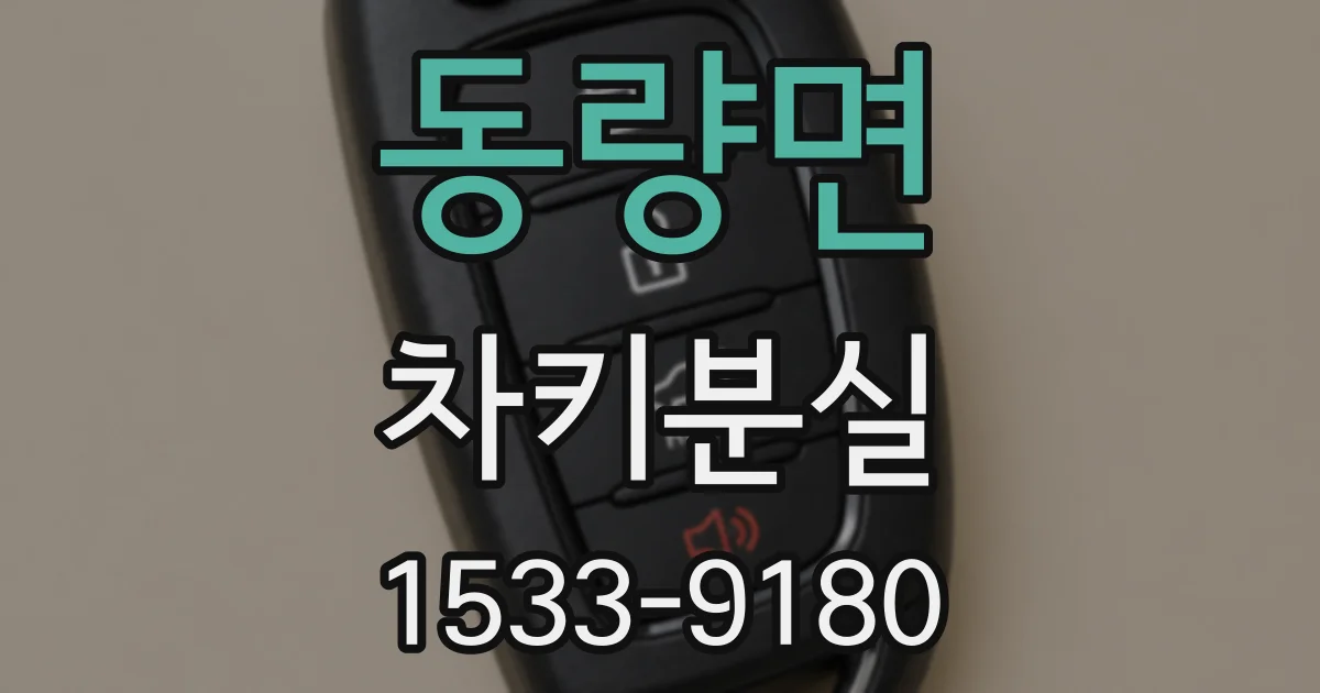 동량면 차키분실