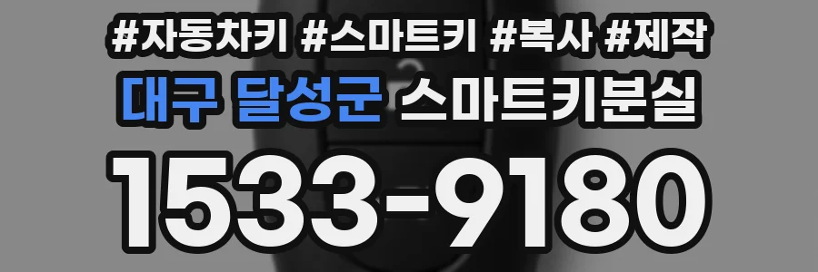 대구 달성군 스마트키분실