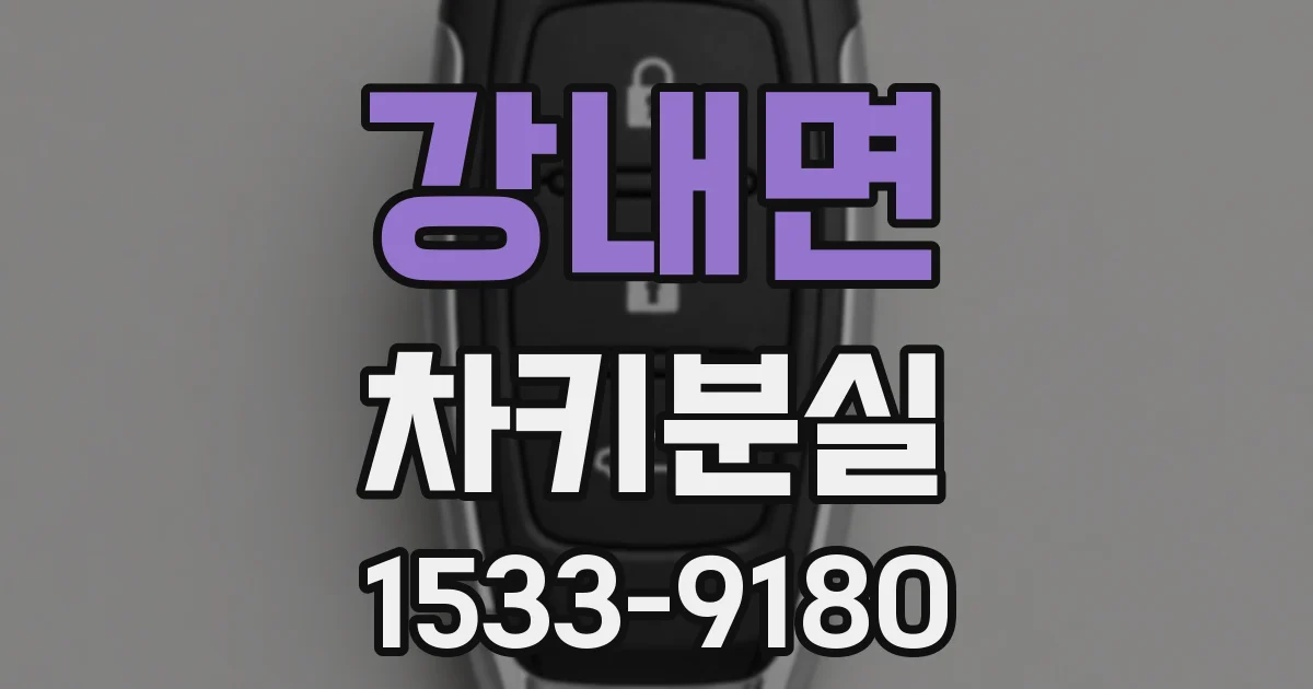 강내면 차키분실