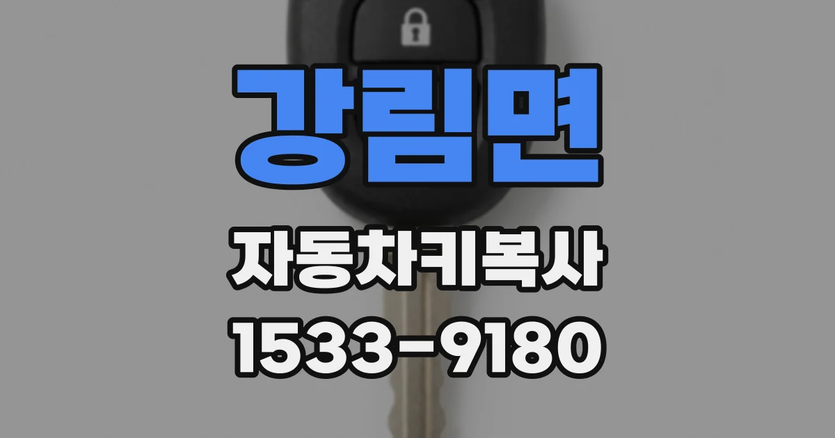 강림면 자동차키복사