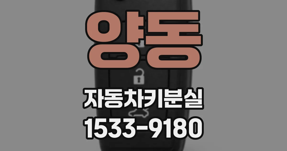 양동 자동차키분실