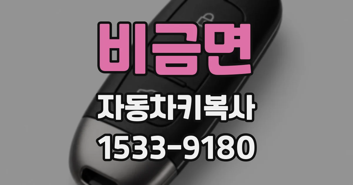 비금면 자동차키복사