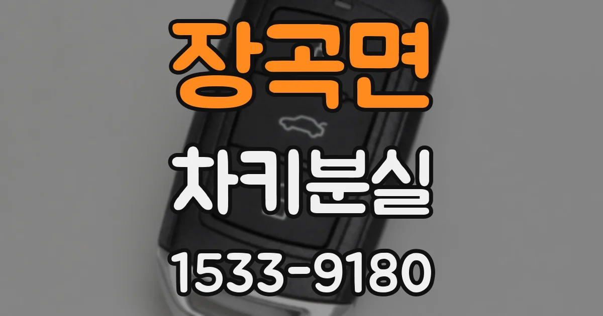 장곡면 차키분실