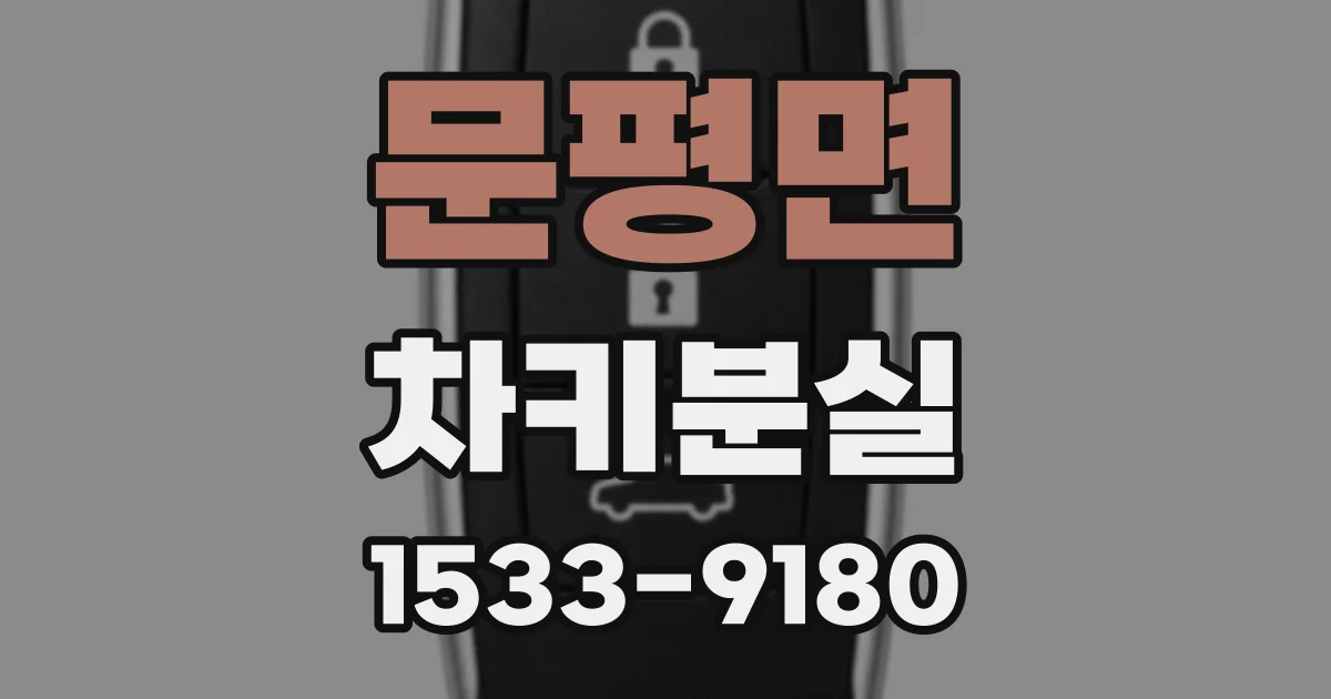 문평면 차키분실
