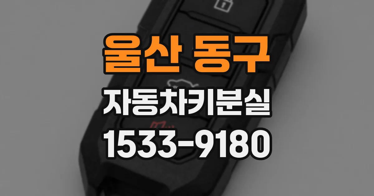 울산 동구 자동차키분실