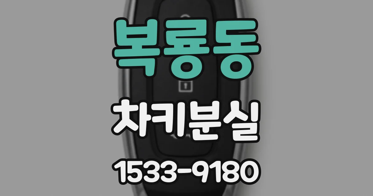 복룡동 차키분실