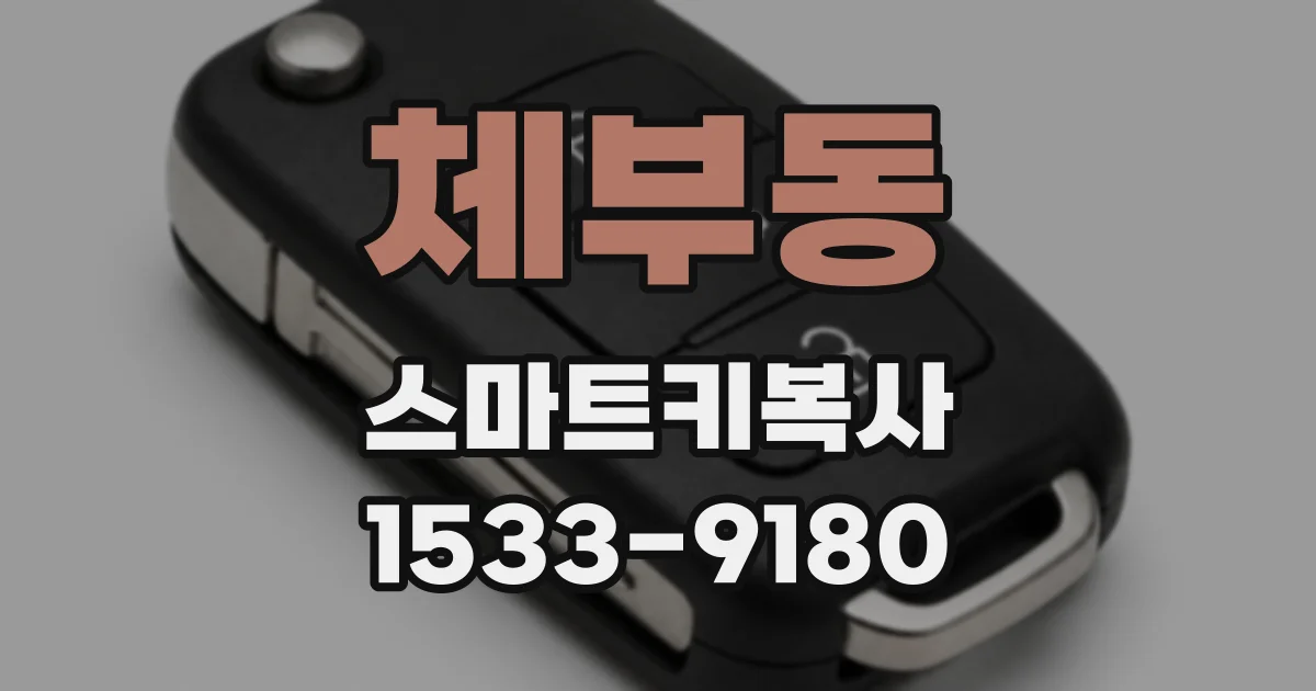 체부동 스마트키복사