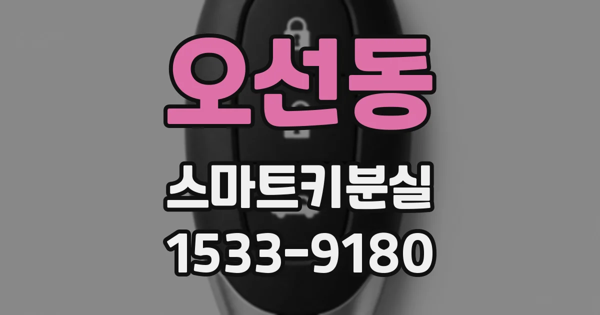 오선동 스마트키분실