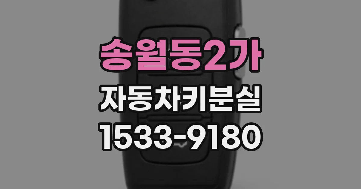 송월동2가 자동차키분실
