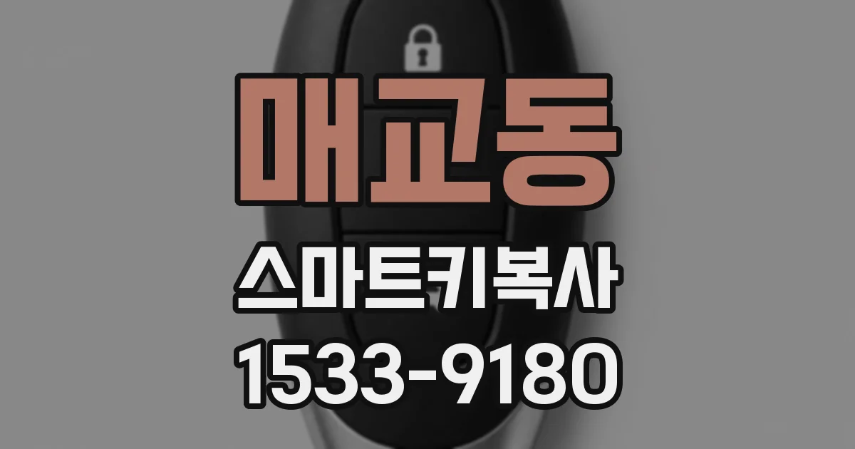 매교동 스마트키복사