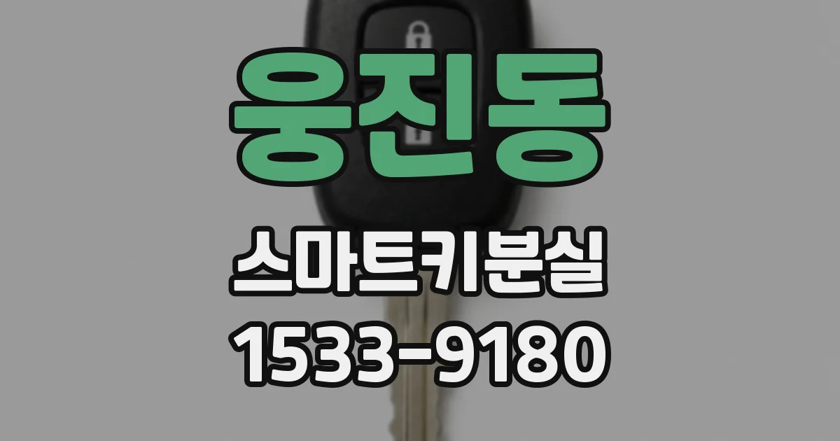 웅진동 스마트키분실