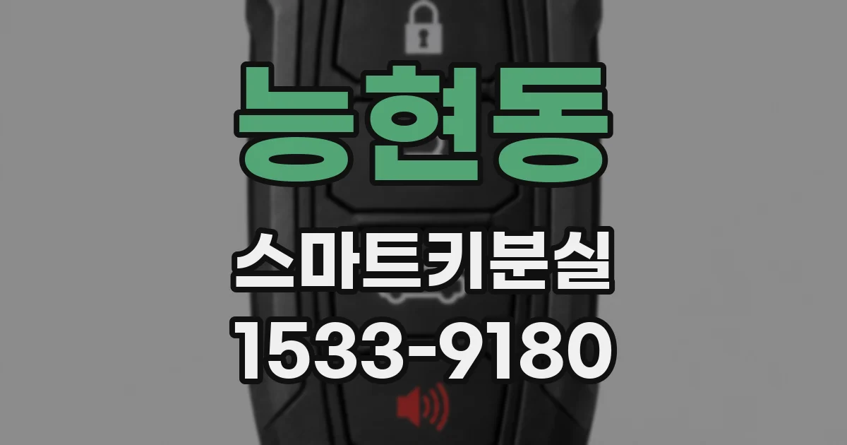능현동 스마트키분실
