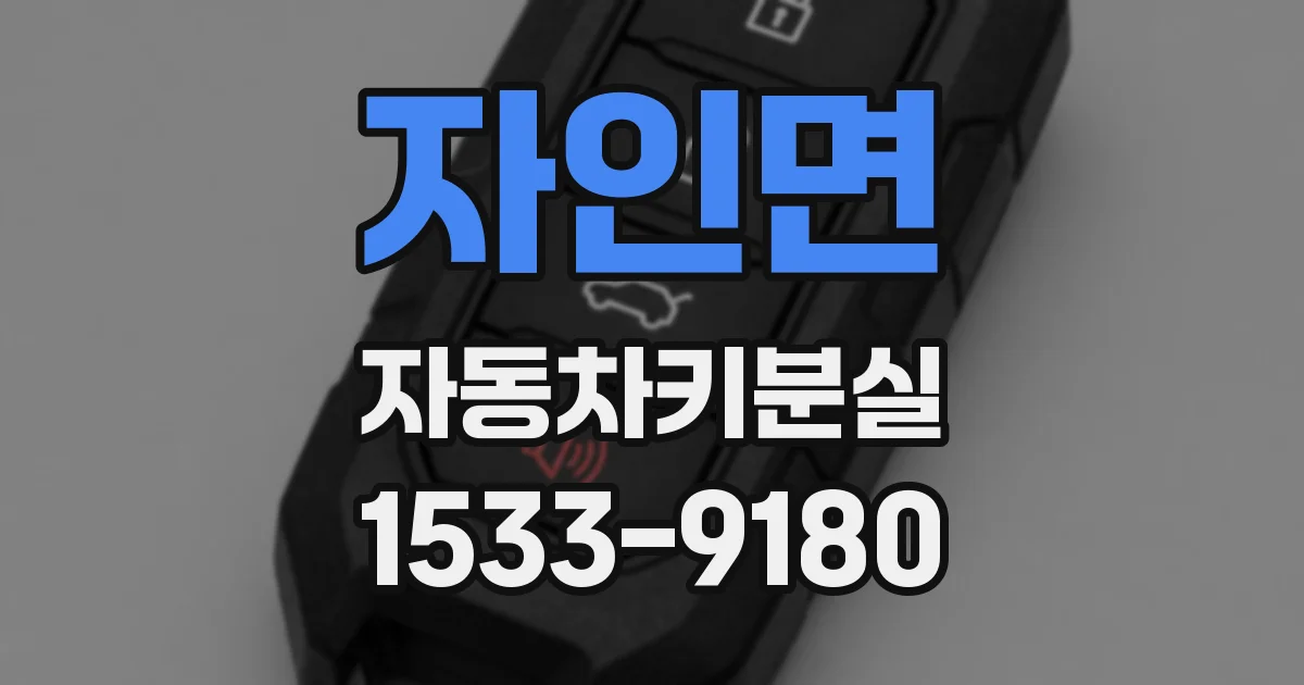 자인면 자동차키분실