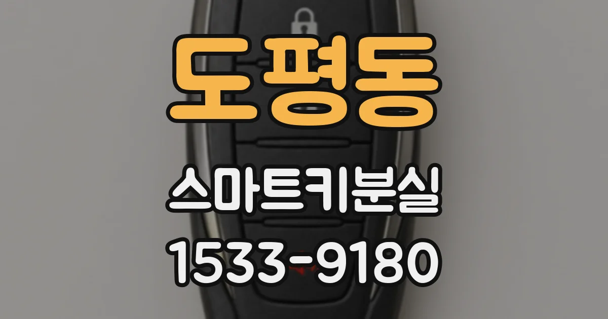 도평동 스마트키분실