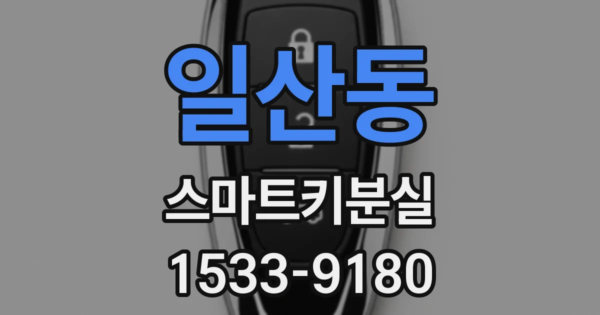 일산동 스마트키분실