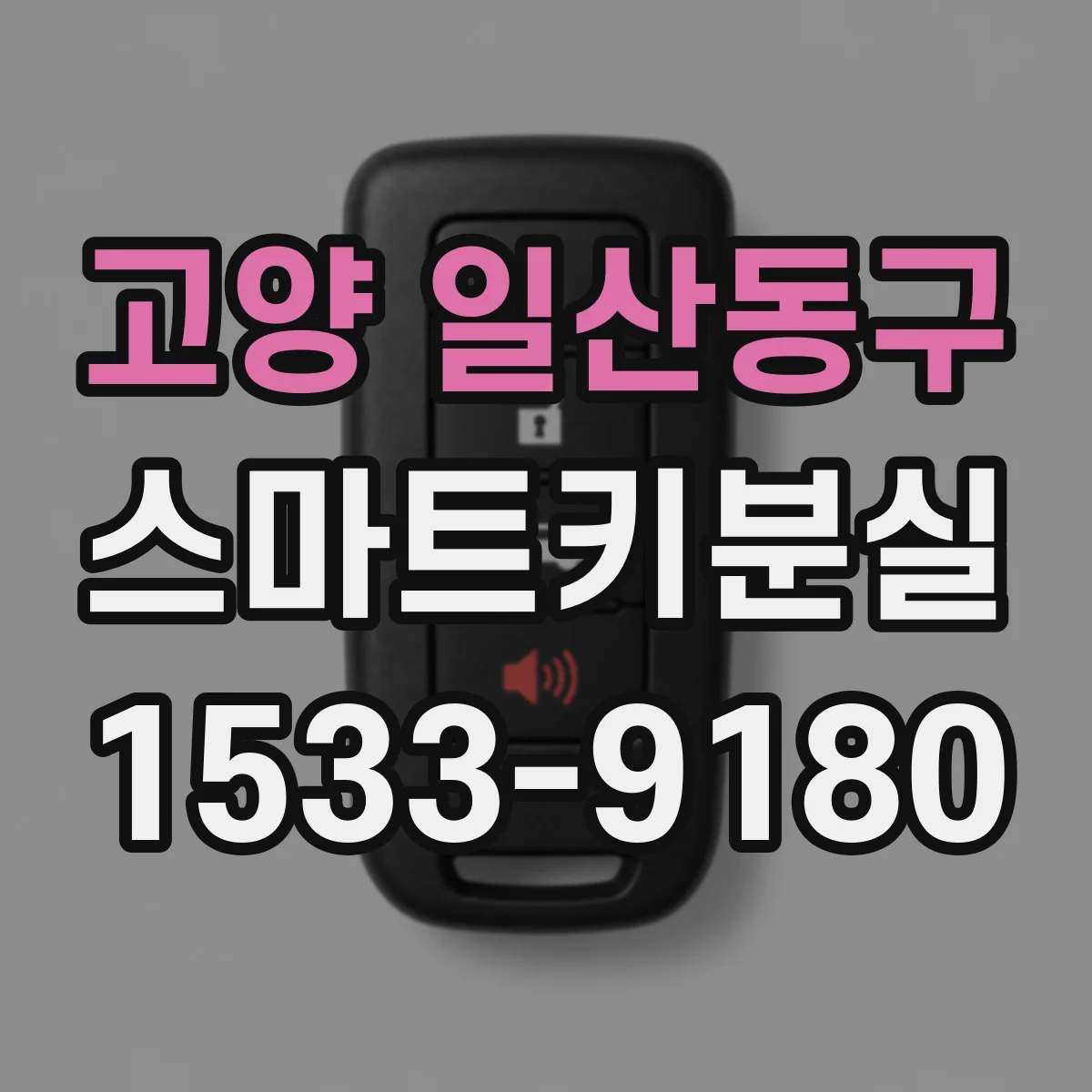 고양 일산동구 스마트키분실
