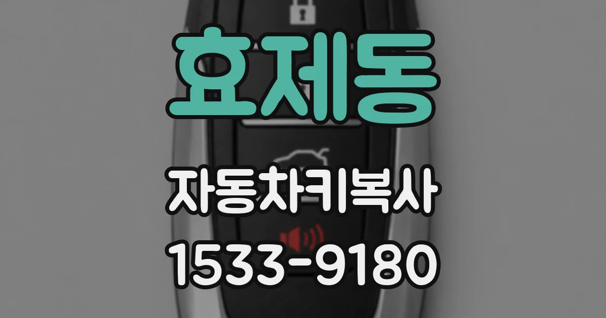 효제동 자동차키복사
