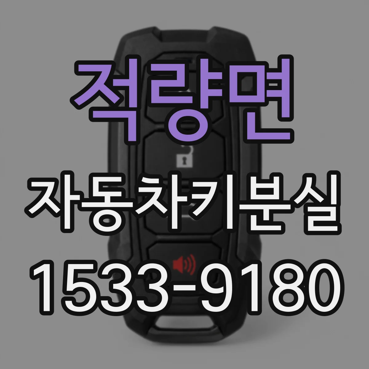 적량면 자동차키분실