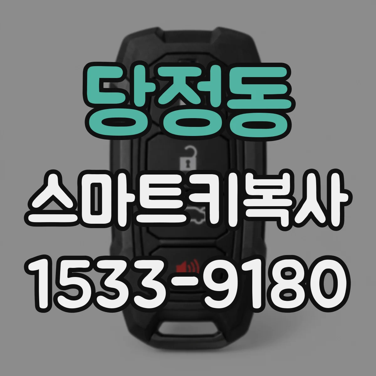 당정동 스마트키복사