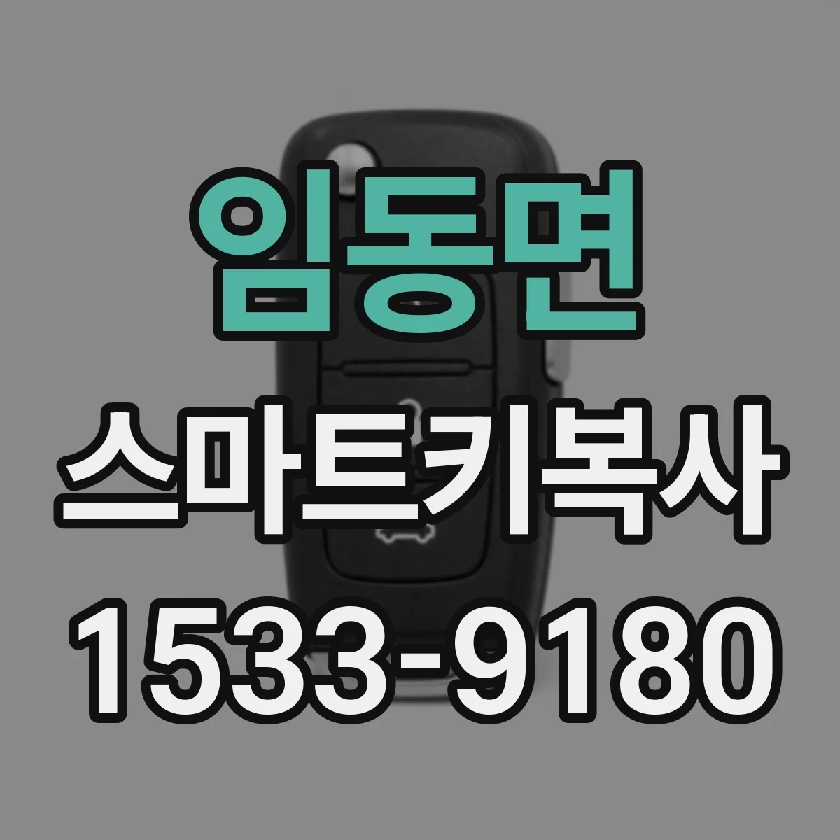 임동면 스마트키복사