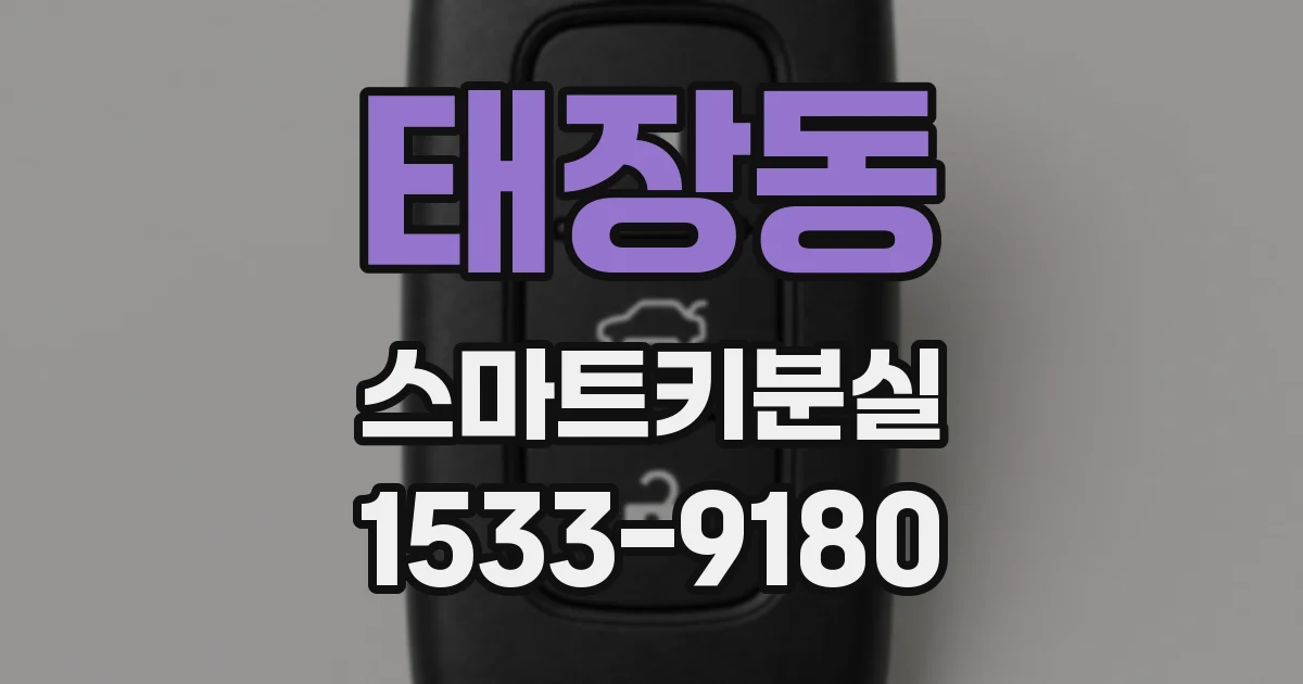 태장동 스마트키분실