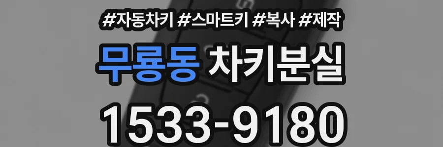 무룡동 차키분실