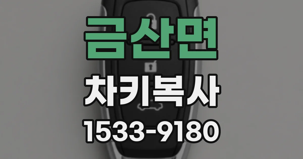 금산면 차키복사