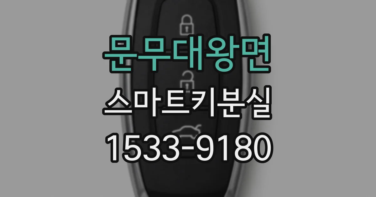 문무대왕면 스마트키분실