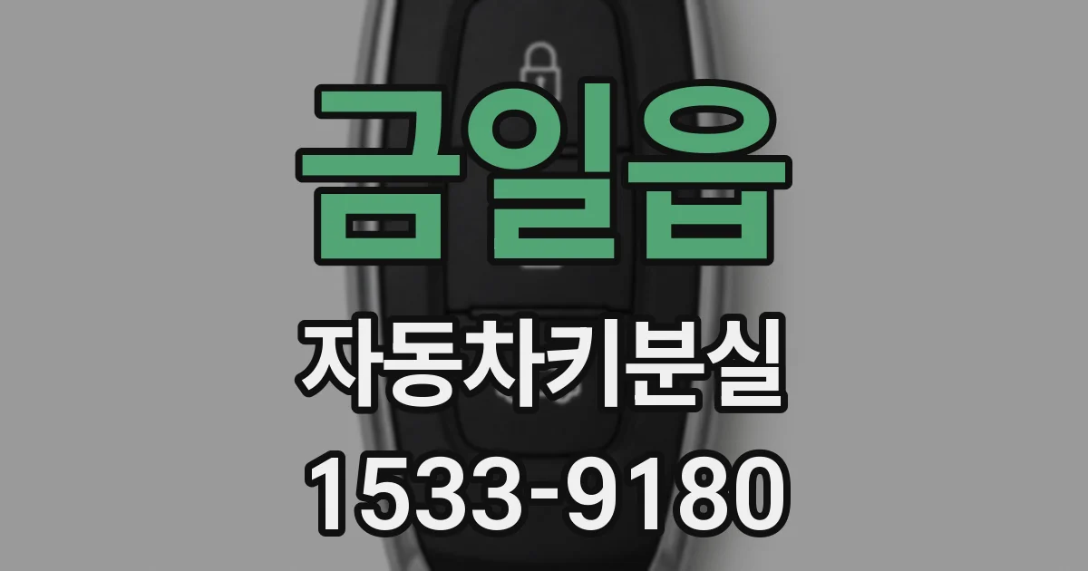 금일읍 자동차키분실