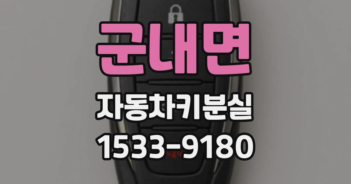 군내면 자동차키분실