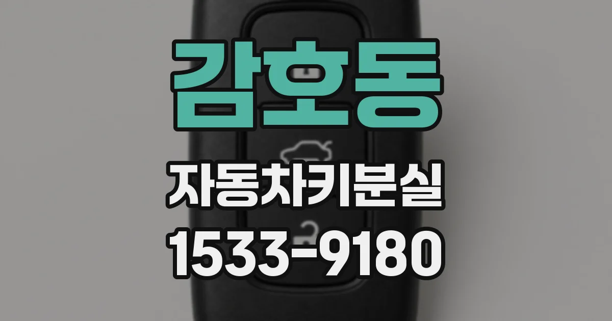 감호동 자동차키분실