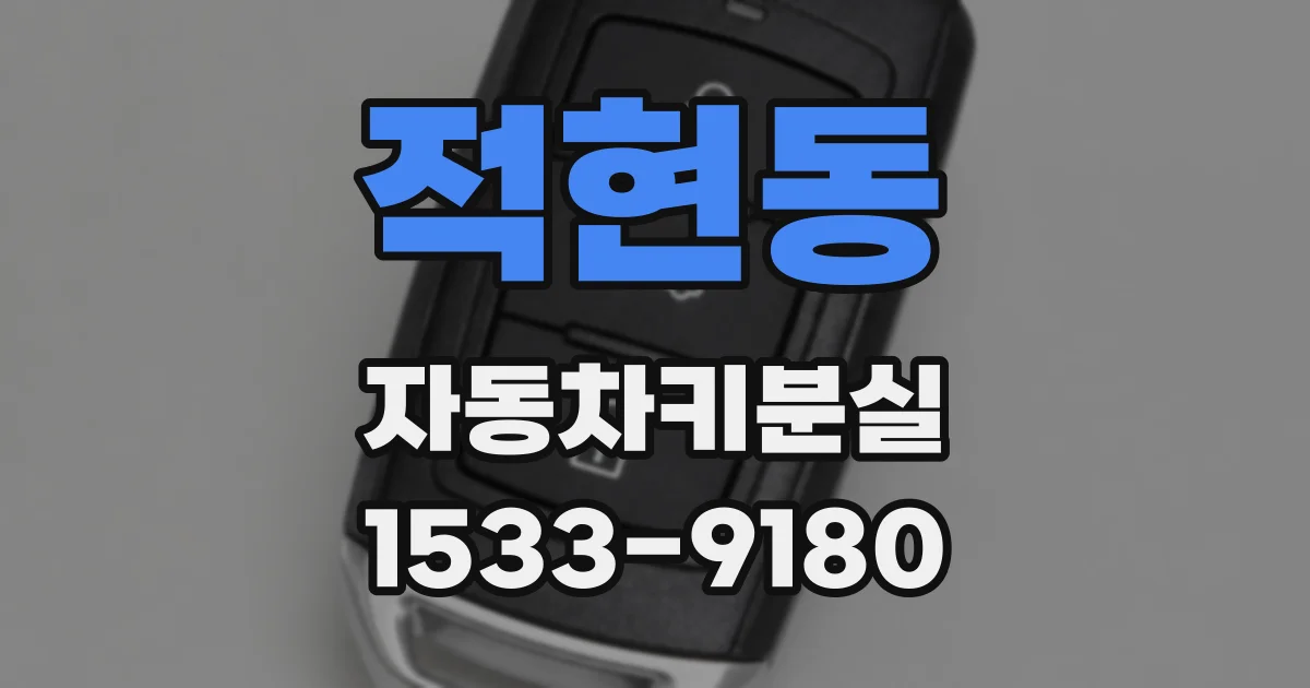 적현동 자동차키분실