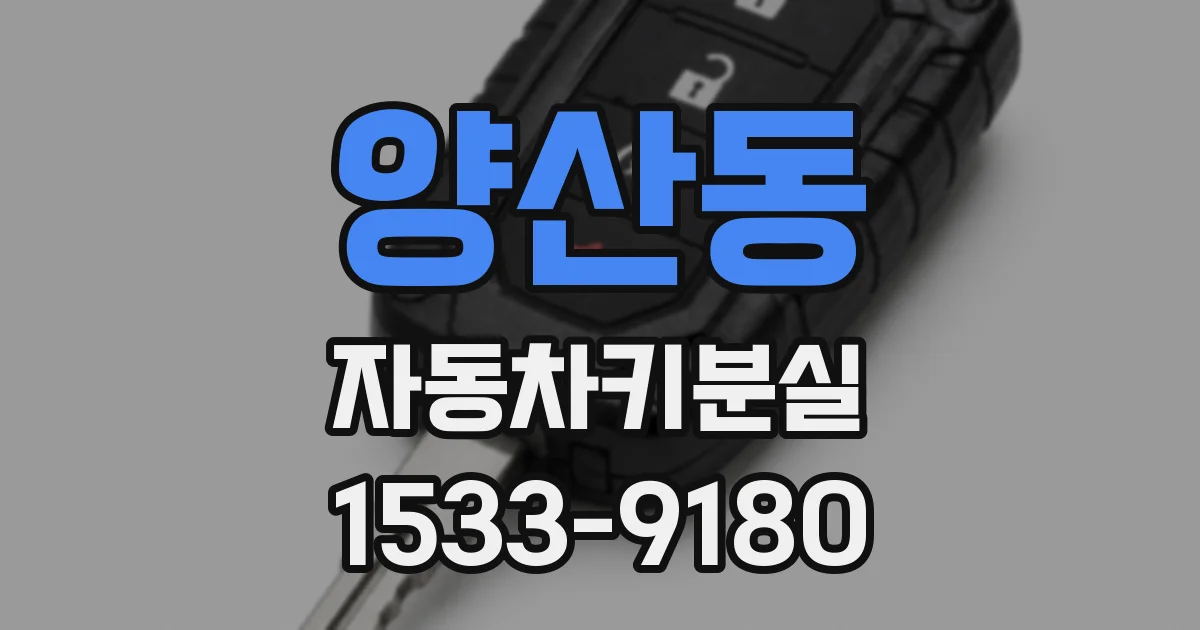 양산동 자동차키분실