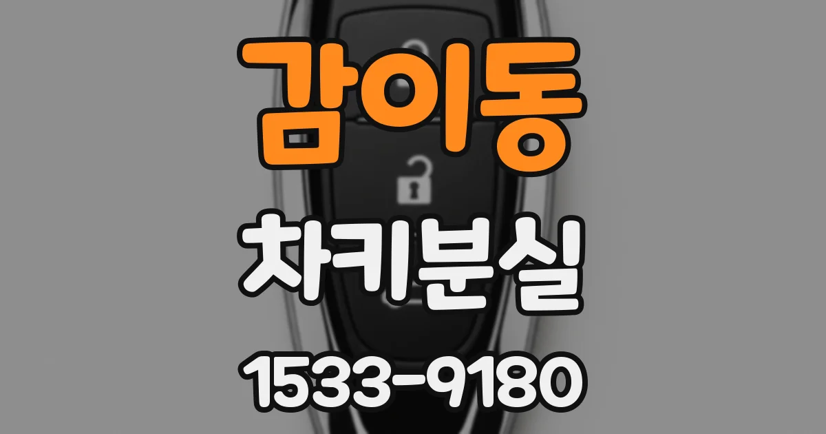 감이동 차키분실