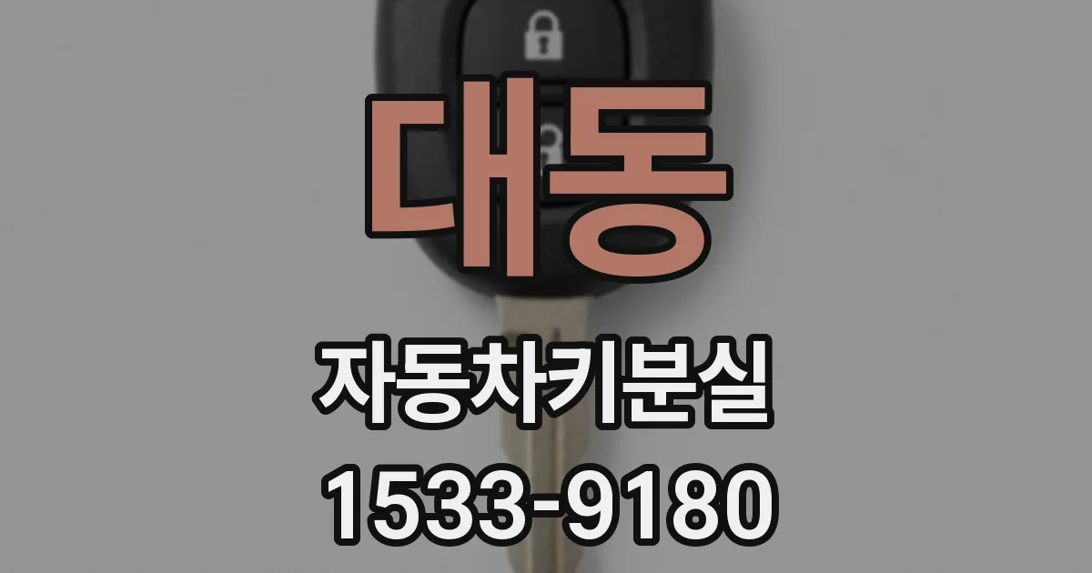 대동 자동차키분실