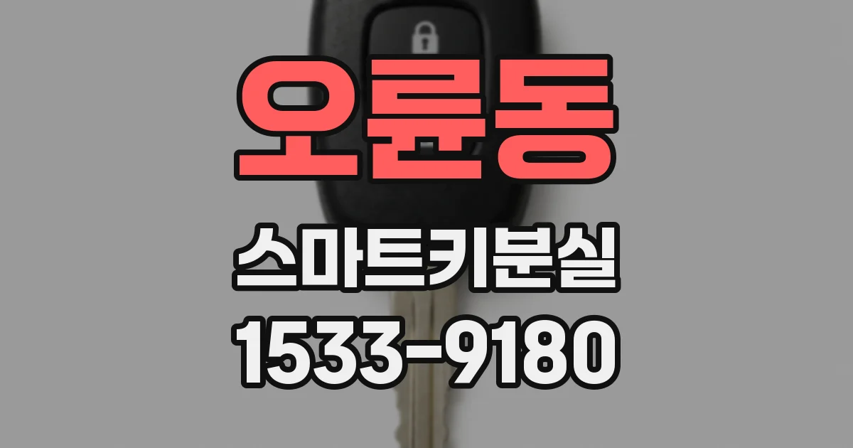 오륜동 스마트키분실