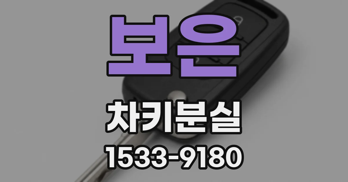 보은 차키분실