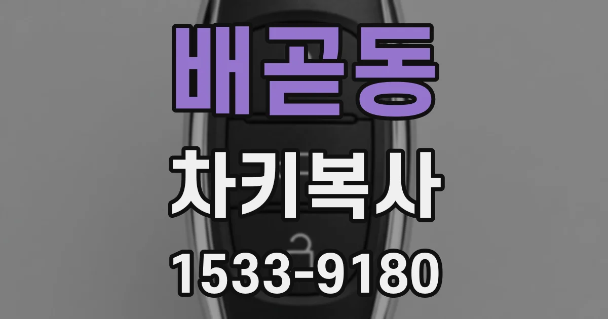 배곧동 차키복사