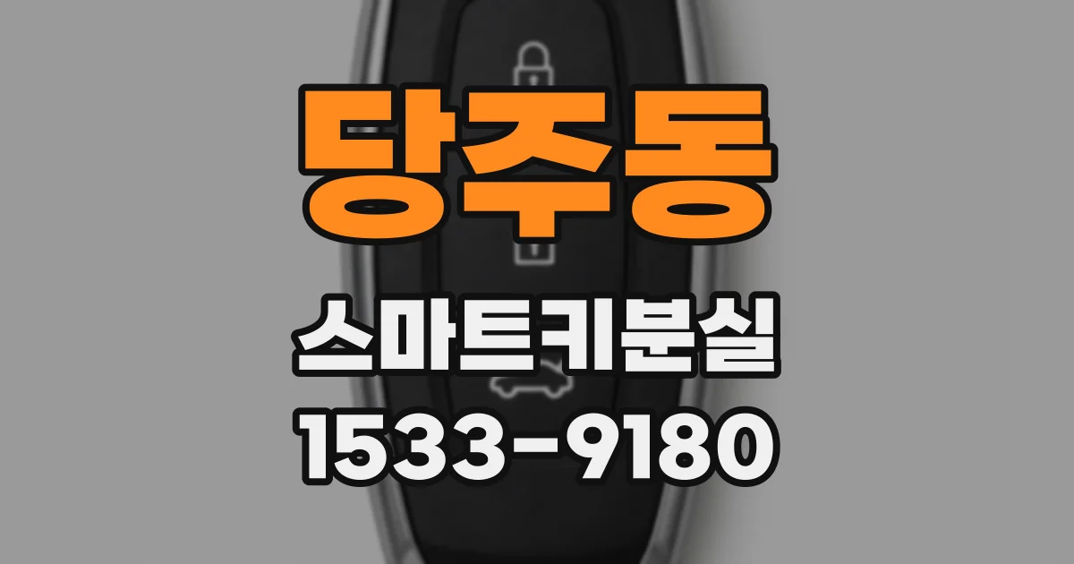 당주동 스마트키분실