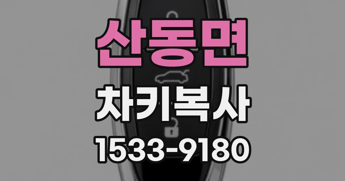 산동면 차키복사