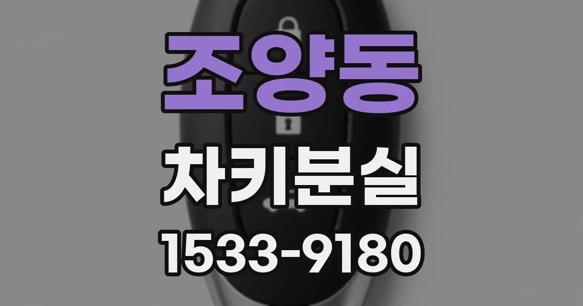 조양동 차키분실
